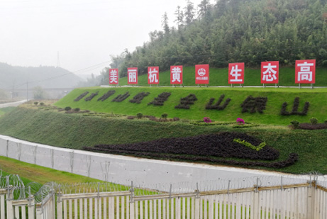 安徽黃山邊坡綠化工(gōng)程